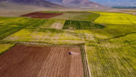 Tarım Arazileri Büyüyor: Toplulaştırma ile 7,4 Milyon Hektar Birleşti