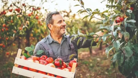 Yerli girişimciler modern tarımla yatırımcıların radarında