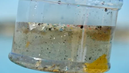 Karadeniz’de Mikroplastik Tehlikesi: Balıkların Yüzde 40’ında Plastik İzine Rastlandı