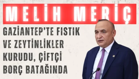 CHP’li Melih Meriç: ‘Gaziantep’te fıstık ve zeytinlikler kurudu, çiftçi borç batağında’