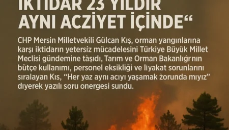 CHP’li Gülcan Kış: “Ormanlar yanarken iktidar 23 yıldır aynı acziyet içinde”