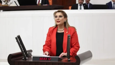 CHP’li Elvan Işık Gezmiş: “Kadın cinayetlerinde cezasızlık failleri cesaretlendiriyor”