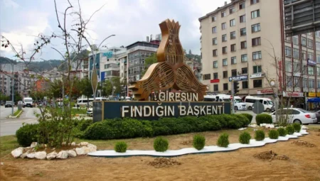 Giresun Belediyesi altyapıdan çevre düzenlemesine kadar şehir genelinde yoğun çalışma yürütüyor